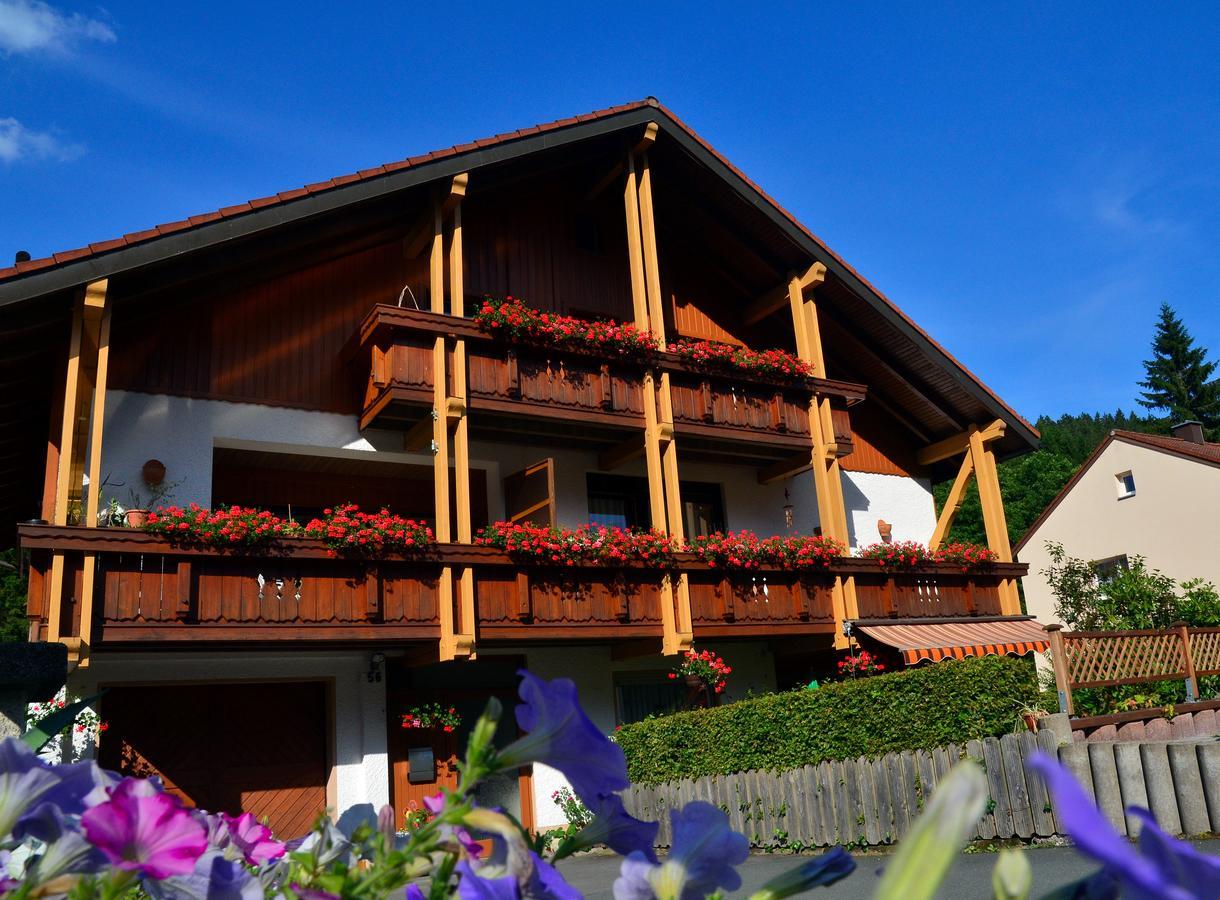 Pension Mausbachtal Warmensteinach Exterior photo