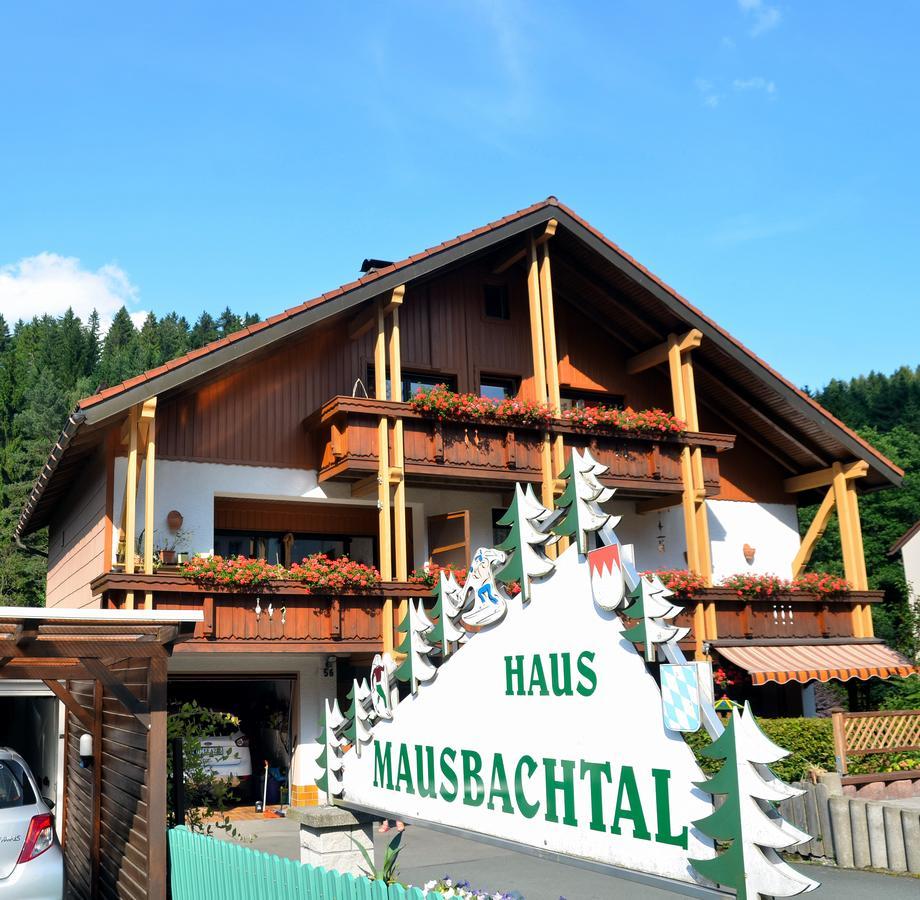Pension Mausbachtal Warmensteinach Exterior photo